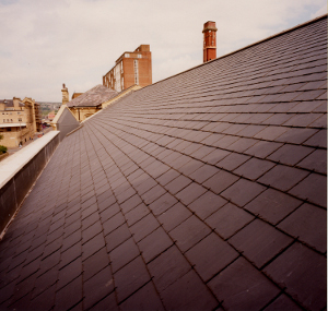 book a cpd on natural slate